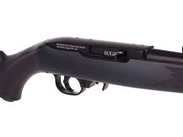ruger 10 22 co2 cal 177