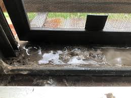 Vacuum any debris from every nook and cranny using the appropriate vacuum cleaner attachment gently pour the white vinegar down into the window sill. How To Clean Window Sills And Tracks Without Scrubbing By Diana Valle Medium