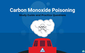 Establishes regulation relating to vehicular carbon monoxide testing, provides that a fire department established by a county, city, town, or township, or a volunteer fire department, may provide vehicular carbon monoxide testing, requires testing to be offered to the owner of a motor vehicle without charge, specifies the manner in which. How To Treat Carbon Monoxide Poisoning Overview And Study Guide