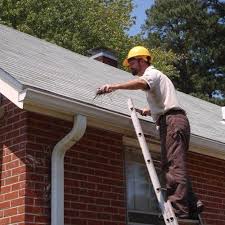 Gutter Cleaning Made Easy