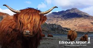 Image result for edinburgh