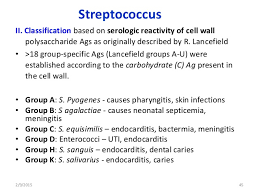 Staphylococcus And Streptococcus