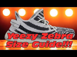 Do Yeezy Zebras Fit Big Mythbusting Yeezy V2 Zebra Size