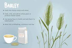 what is barley