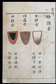 File C14 Chinese Tongue Diagnosis Chart Wellcome L0039594