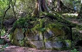 Kaimanawa Wall New Zealand Ancient