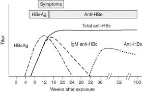 Hepatitis B Core Antigen An Overview Sciencedirect Topics