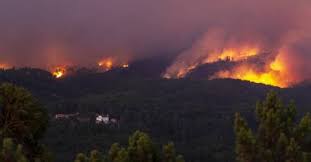Mais de 9.500 hectares arderam em Vila de Rei e Mação