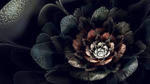 Black Flowers Wallpapers - Wallpaper Cave