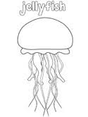 Is it safe for kids to color jellyfish? Jellyfish Coloring Pages