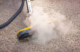 steam clean my carpets with vinegar