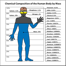 human body chemical composition color i