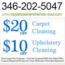 professional carpet cleaner house