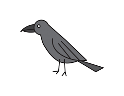 how to draw a black raven bird easy