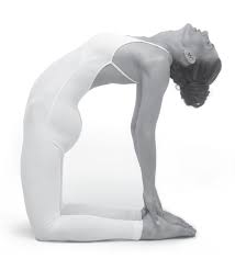 Chakra Yoga 8 Poses To Activate And Balance Your Chakras