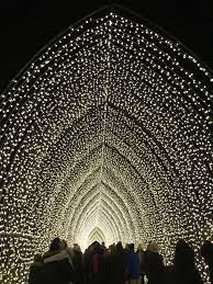 christmas light trail at the botanics