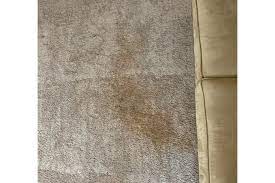 carpet cleaning service pearland tx
