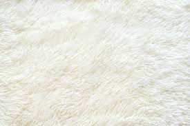 white fur rug images browse 41 993