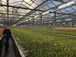 Select horticulture 1865 main st lancaster ma 01523. Fluence Expands Emea Footprint With Horticulture Partners In Papenburg Germany Business Wire