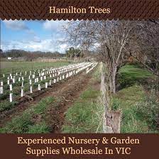 Hamilton Trees Nursery Garden