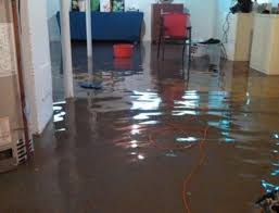 Flood Damage Restoration Pureone Services