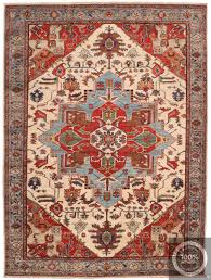 shirvan design rug