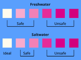 Maintaining Water Quality And The Ideal Aquarium Temperature