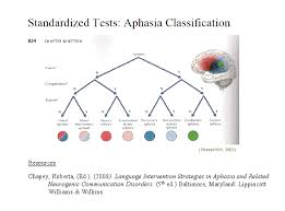 Aphasia Classification Chart Based On Fluency Comprehension