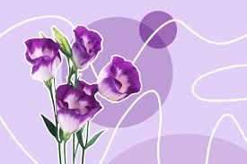 purple flower meaning and symbolism in