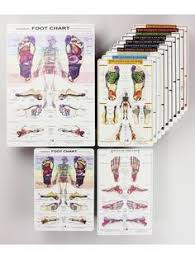 Reflexology Foot Charts Collection Balancing Touch