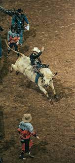 bull riding iphone wallpapers free