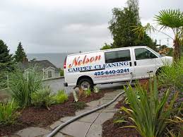 nelson carpet cleaning excellent