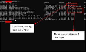 listing docker containers