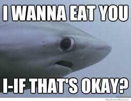 20 Funniest Shark (Week) Memes Gifs And Comics | WeKnowMemes via Relatably.com