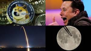 Elon musk seemingly caused the price of the cryptocurrency dogecoin to tumble over the weekend following comments he made on saturday night live. Kgz54dlfz8 Ufm