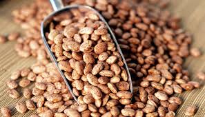 pinto beans benefits nutrition and