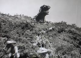 Image result for images of 1954's gojira