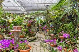 jardín botánico lankester go visit