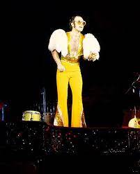 In 1986, he wore a hot pink mohawk wig. 1974 Photos Elton John S Outfits Through The Years Elton John Costume Elton John Outfits