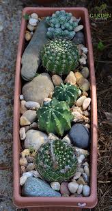 Low Maintenance Container Gardens