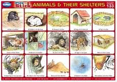 Pick N Stick Animals And Their Shelters Navneet Education