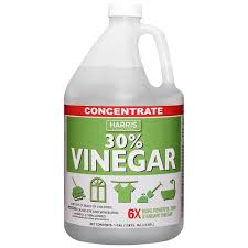 Vinegar All Purpose Cleaner Concentrate