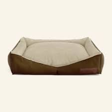 best dog bed for arthritis mindbodygreen