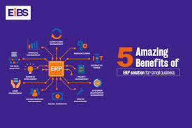 erp software benefits for small business