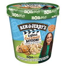 non dairy frozen dessert