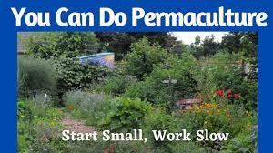 you can do permaculture start small