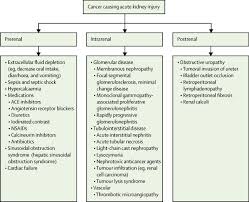 Kidney disease outcome quality initiative. The Link Between Kidney Disease And Cancer Complications And Treatment The Lancet