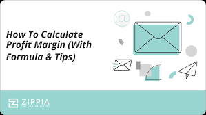 how to calculate profit margin with