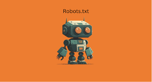 what is robots txt and do you need it