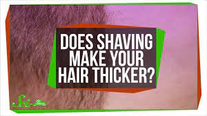 does shaving make your hair thicker